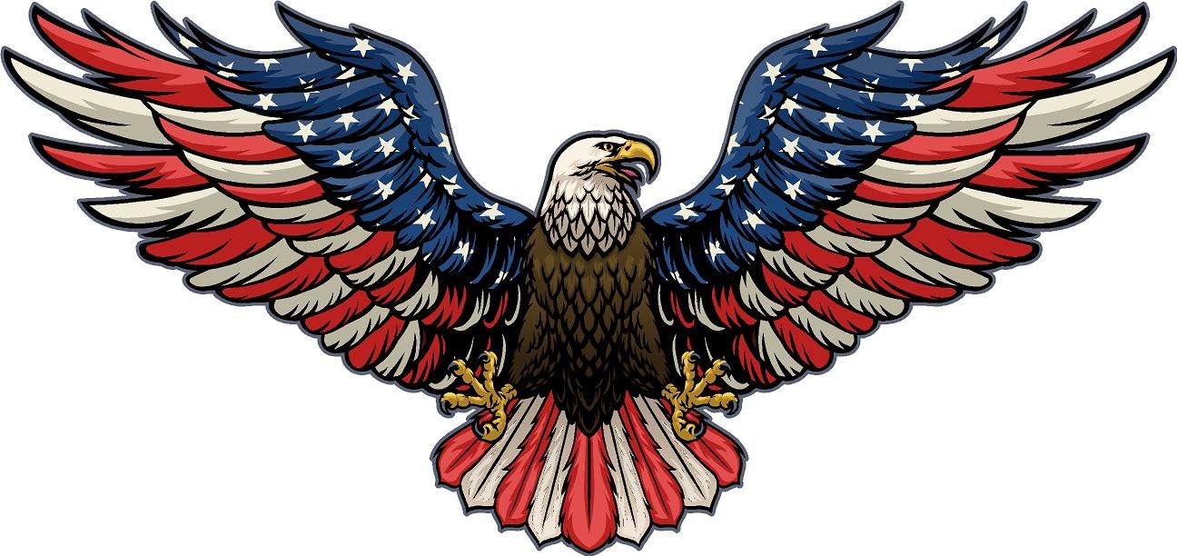 Amazon.com : Eagle American Flag Decal, 18x8.5 inches, Patriotic